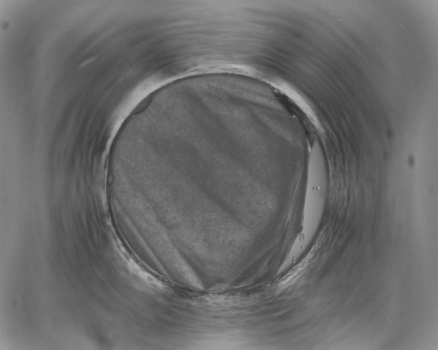 X0000060551102200511241219