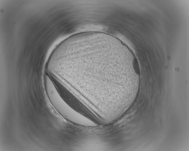 X0000060551104200511241219