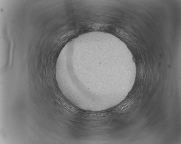 X0000060551105200511241218