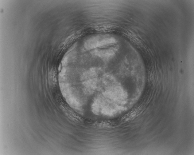 X0000060551106200511241218