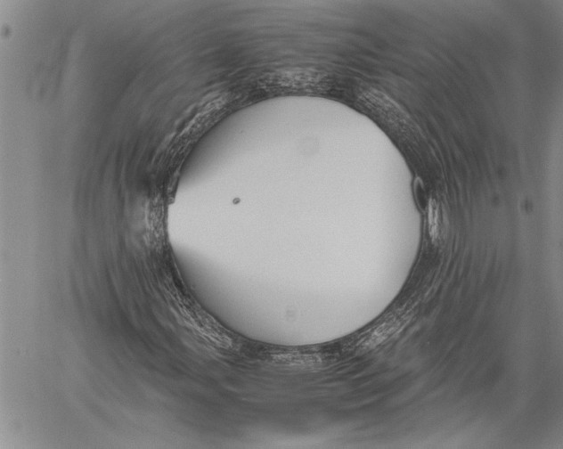 X0000060551107200511241218