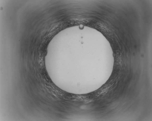 X0000060551109200511241218