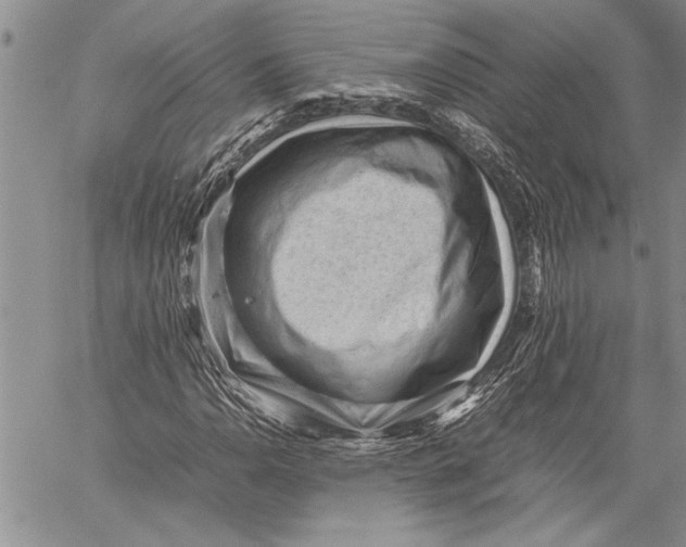 X0000060551110200511241218