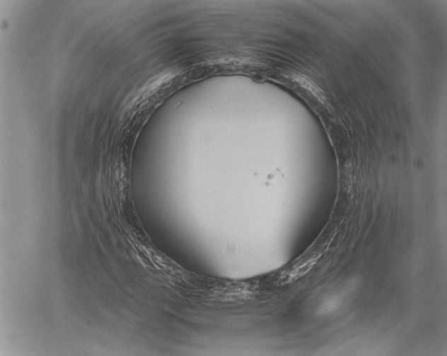 X0000060551111200511241218