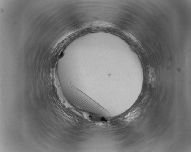 X0000060551112200511241218