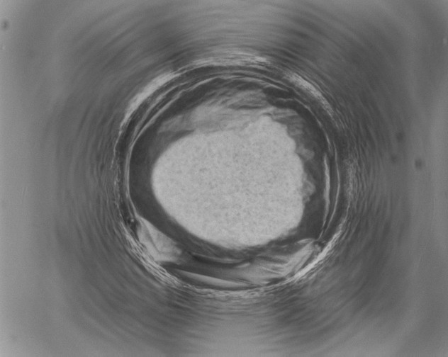 X0000060551114200511241218