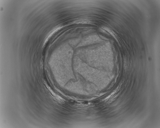 X0000060551115200511241218