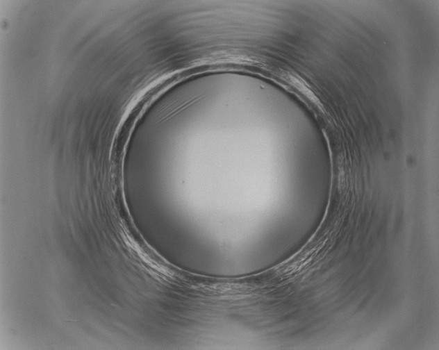 X0000060551116200511241218