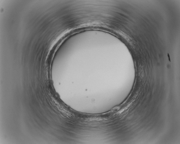 X0000060551118200511241218