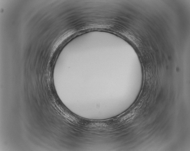 X0000060551119200511241218