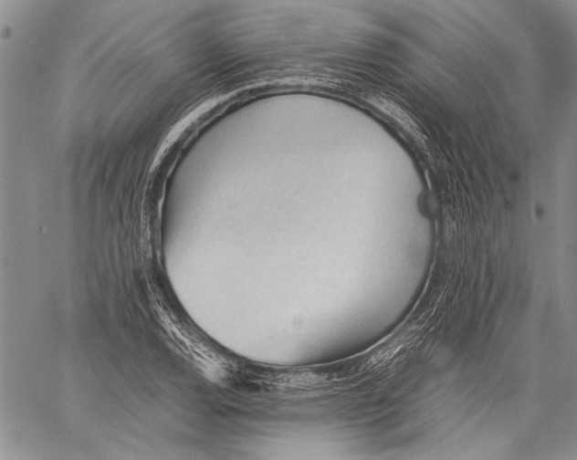 X0000060551120200511241218