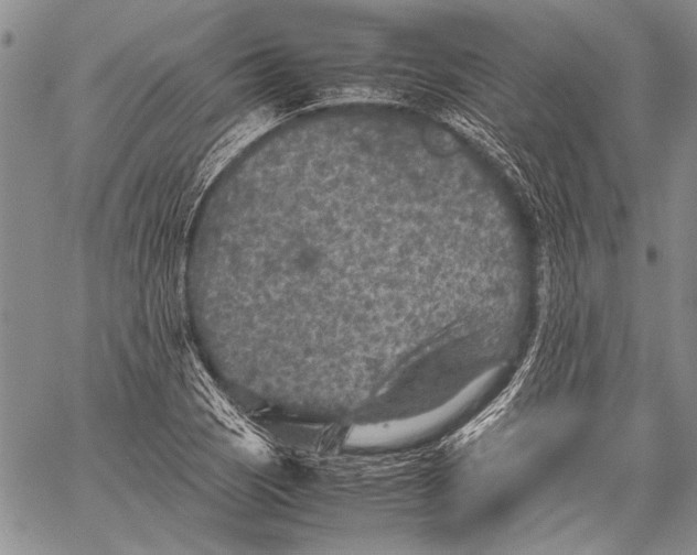 X0000060551121200511241218