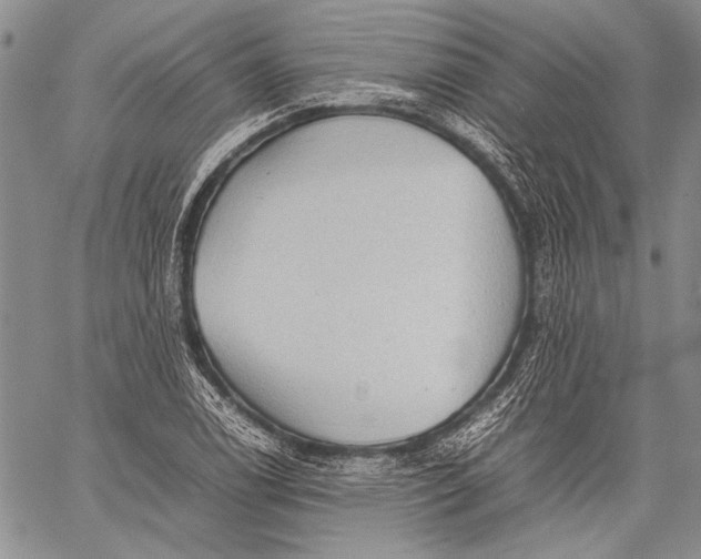 X0000060551122200511241218