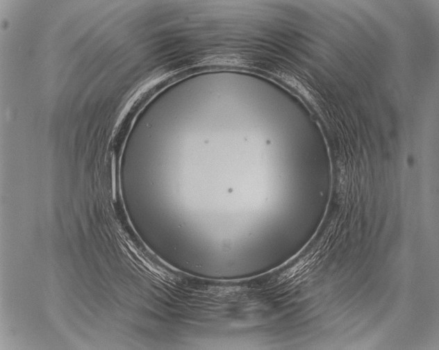 X0000060551123200511241218