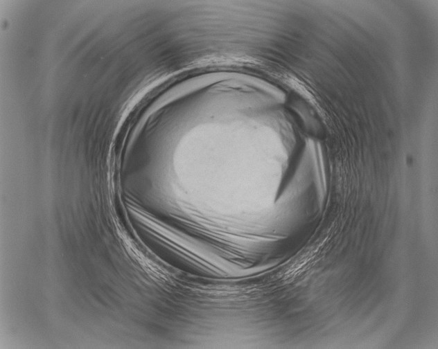 X0000060551124200511241218