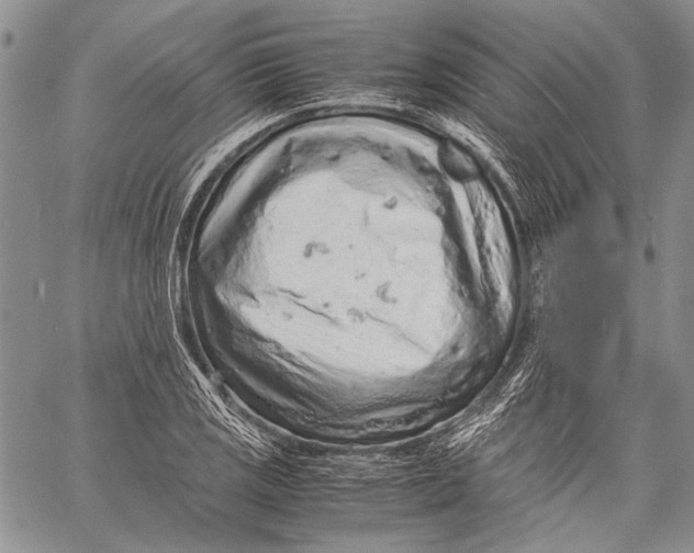 X0000060551125200511241218