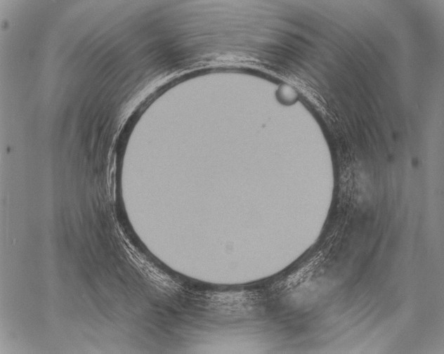 X0000060551126200511241218