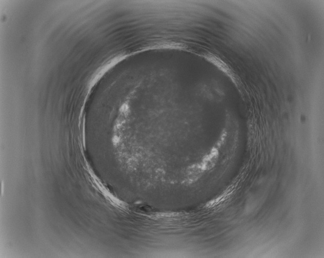 X0000060551127200511241218