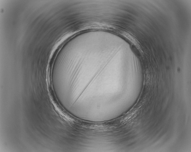 X0000060551128200511241218