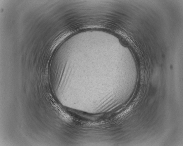 X0000060551129200511241218