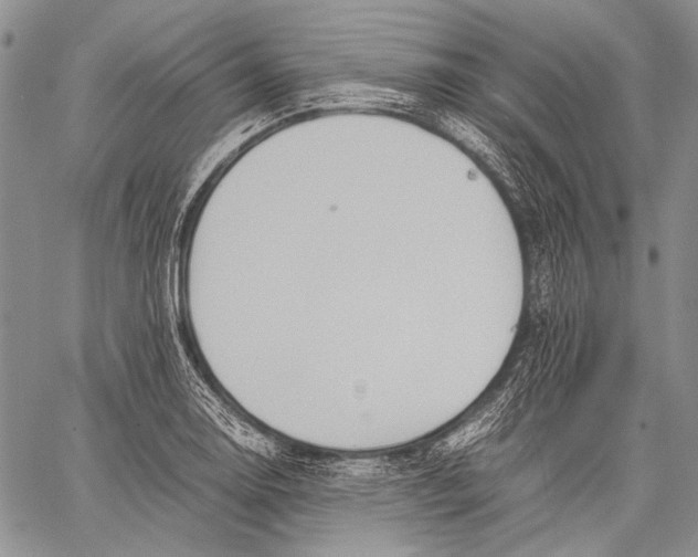 X0000060551130200511241218