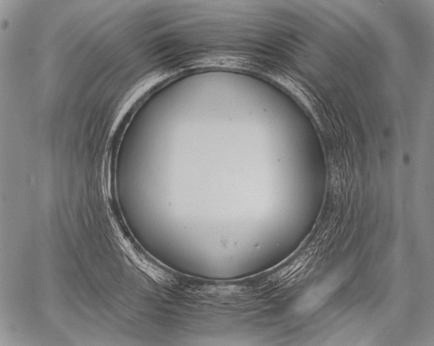 X0000060551131200511241218