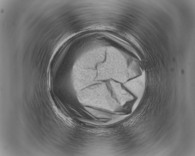 X0000060551132200511241218