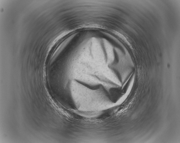 X0000060551133200511241218