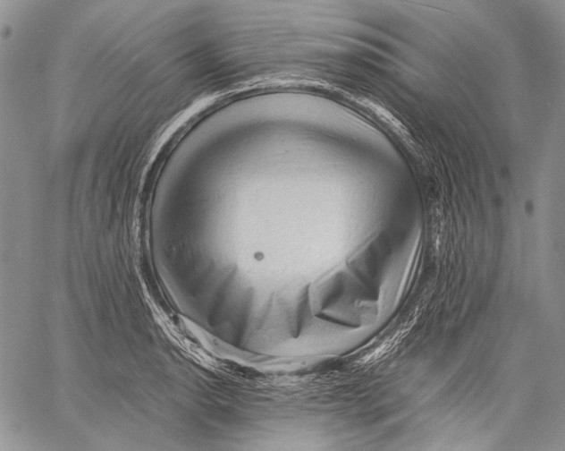 X0000060551134200511241218