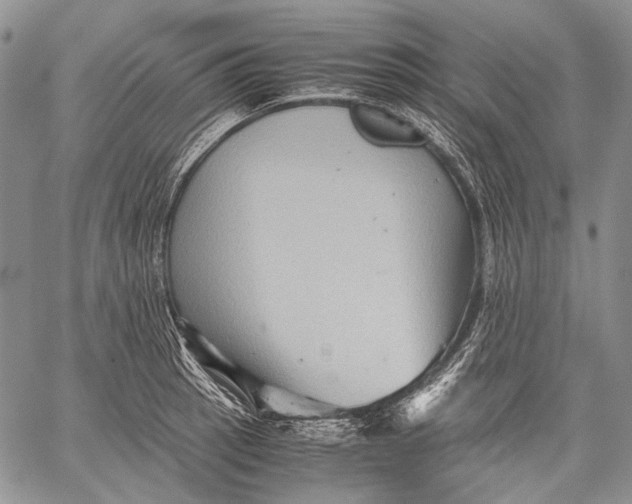 X0000060551137200511241219