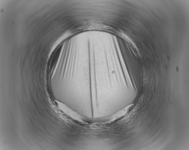 X0000060551138200511241219