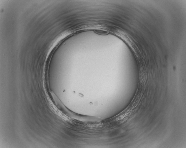 X0000060551139200511241219