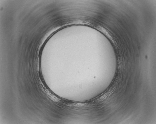 X0000060551140200511241219