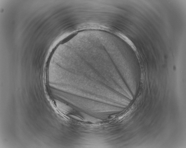 X0000060551144200511241219