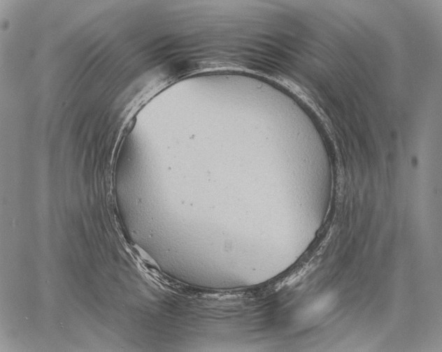 X0000060551145200511241219