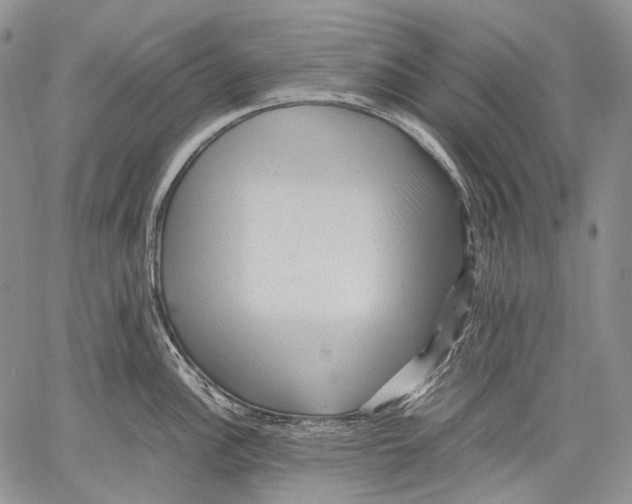 X0000060551148200511241219