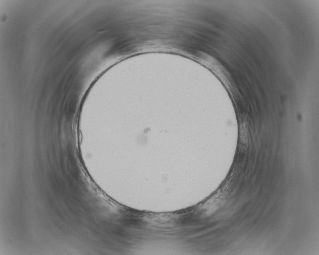 X0000060551150200511241219