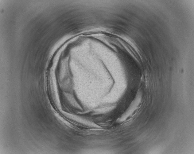 X0000060551151200511241219