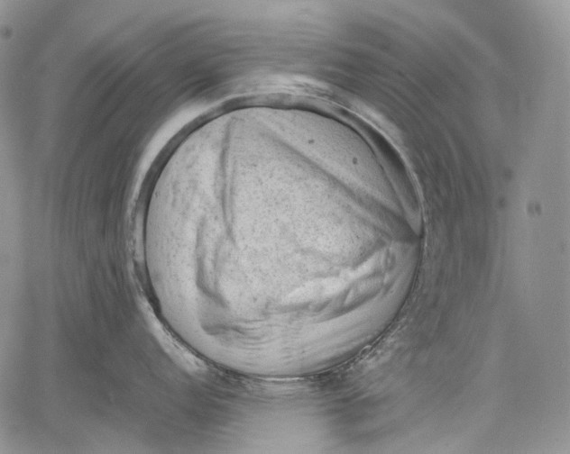 X0000060551152200511241219