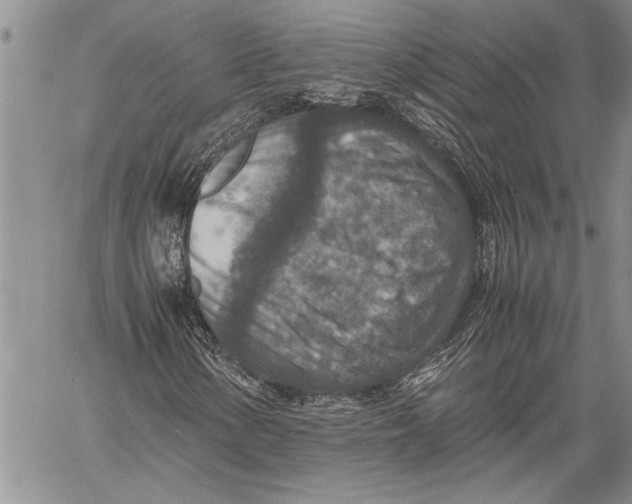 X0000060551154200511241218