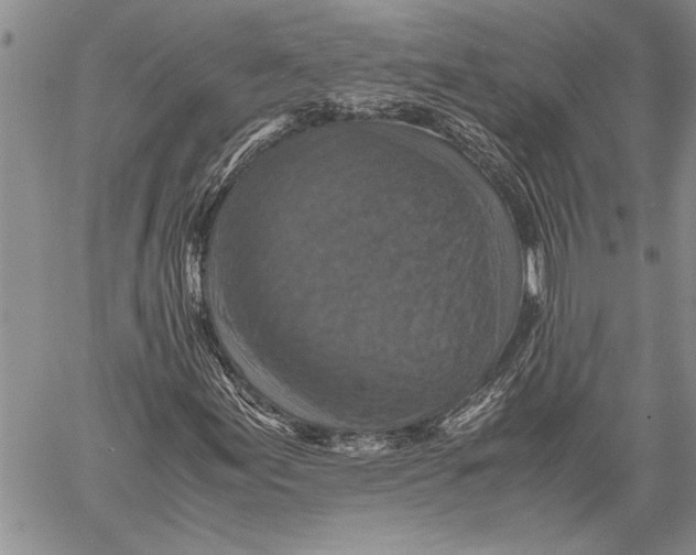 X0000060551155200511241218