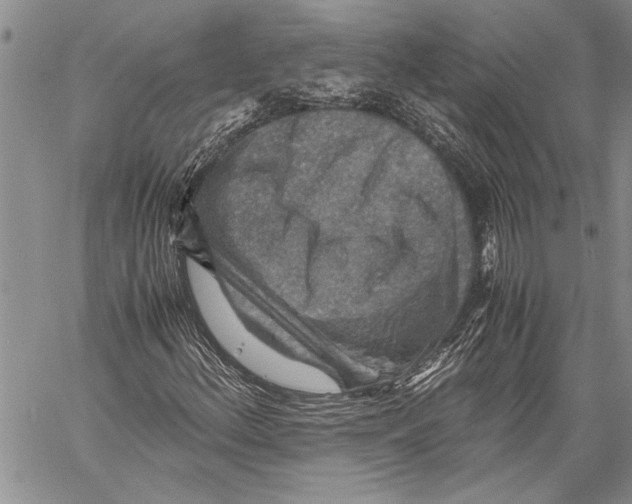 X0000060551156200511241218