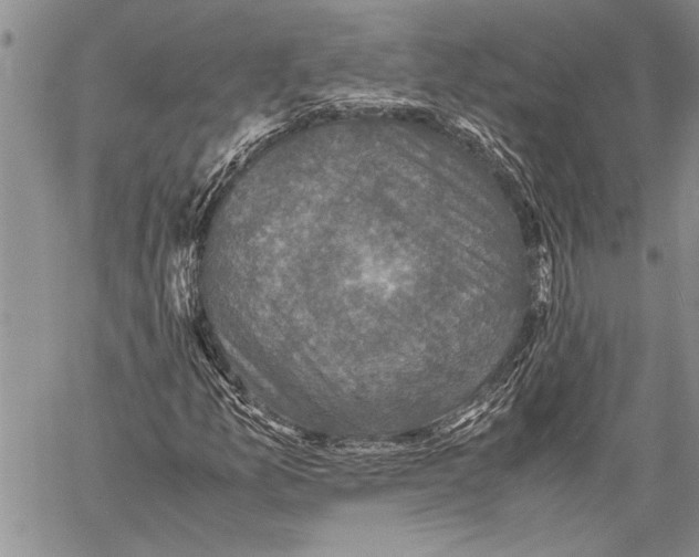 X0000060551157200511241218