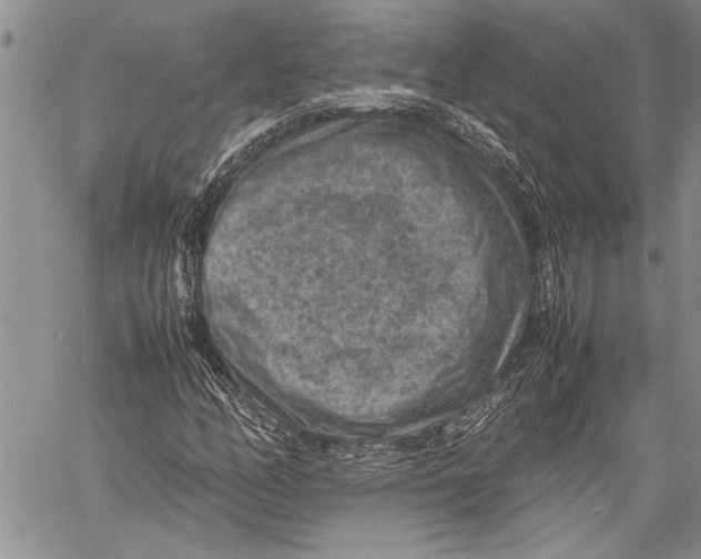 X0000060551158200511241218