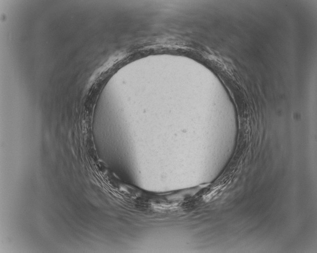 X0000060551159200511241218