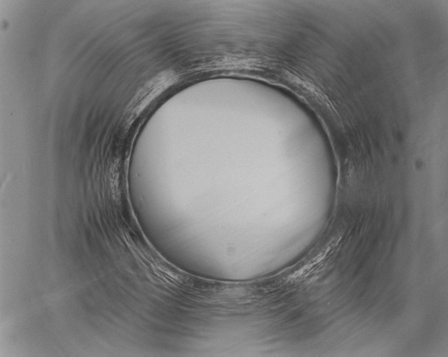 X0000060551162200511241218