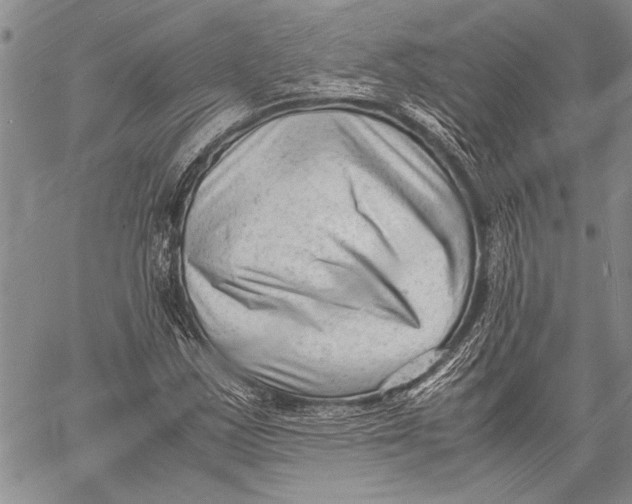 X0000060551163200511241218