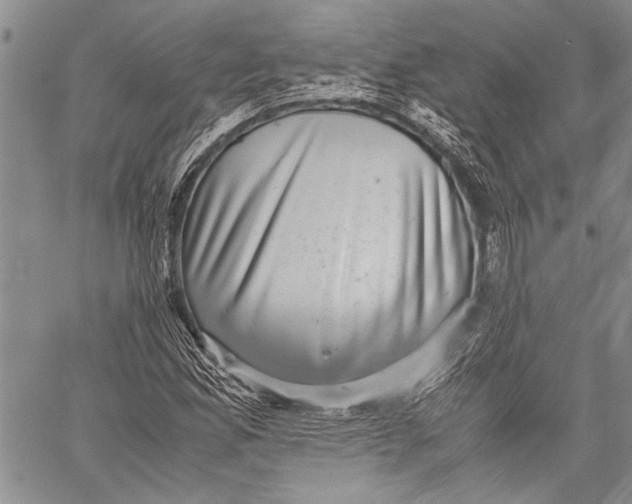 X0000060551165200511241218