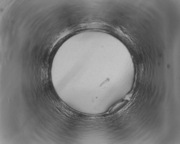 X0000060551166200511241218