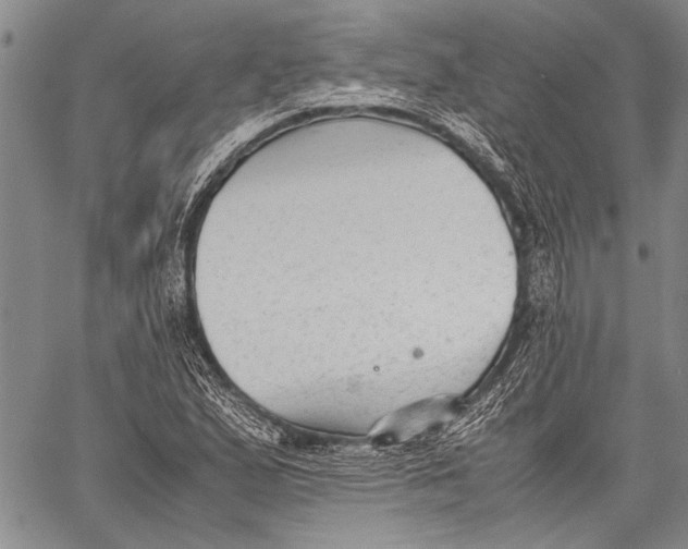 X0000060551167200511241218